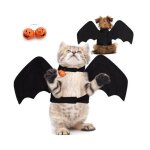 Dguisement chien halloween - costume pour chat - costumes dhalloween pour petits animaux