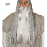 Dguisement homme - gris supplmentaire de barbe - bote de rcipient
