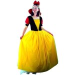 D�guisement - d�guisement princesse conte de f�es femme