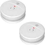 Lot de 2 d�tecteurs de fum�e nf autonomie 5 ans
