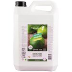 Dtergent dsinfectant surodorant 3d - citron vert - 5 l