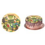 Disque azyme tortue ninja decoration gateau anniversaire comestible diam 20cm