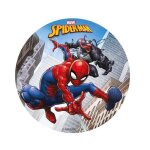 Disque sans sucre 155 cm marvel spiderman decor gateau anniversaire
