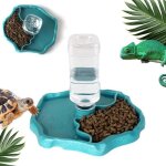Distributeur deau reptile tortue abreuvoir tortue terrestre 2 en 1 bol deau de terrarium reptiles accessoires ...