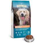 Croquette - divinus adult - 20 kg - prot�ines 23% - vitamines a d3 e k