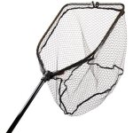 Dlt puisette carnassiers 53x73cm puisette