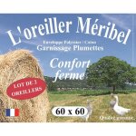 Dodo lot de 2 oreillers meribel plumettes 60x60cm