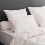 Dodo - lot de 2 oreillers micro douceur - moelleux - 60 x 60 cm