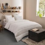 Dodo - couette protection active anti - acariens végétal legere - 140 x 200 cm Dodo - couette protection active anti - acariens végétal legere - 140 x 200 cm