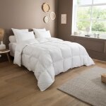 Dodo - couette 90% duvet de canard neuf tempérée - 220 x 240 cm Dodo - couette 90% duvet de canard neuf tempérée - 220 x 240 cm