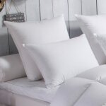 Dodo - oreiller 70% duvet doie moelleux - 65 x 65 cm Dodo - oreiller 70% duvet doie moelleux - 65 x 65 cm