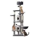 Dogat arbre � chat 162cm - grand centre dactivit�s f�lins avec griffoir int�gr� arbre � grimper anti ...