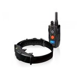 Dogtra arc 800 accessoires deducation pour chien