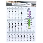 Doigtage et diagramme daccords pour flte traversire pratique pour dbutants a