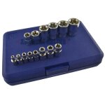 Douilles torx femelle / e e4 e24 kit 14pc 1 / 4 / 3 / 8 / 1 / 2 drive bergen �129