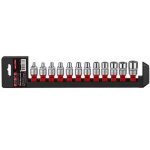 Douilles torx femelles - force - jeu de 12 douilles e4 à e20 - sur réglette - carré dentraînement 3 / ... Douilles torx femelles - force - jeu de 12 douilles e4 à e20 - sur réglette - carré dentraînement 3 / ...