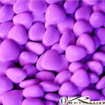 Dragée coeurs chocolat parme pas cher boite 500grs environ 600 dragées Dragée coeurs chocolat parme pas cher boite 500grs environ 600 dragées