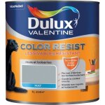 Dulux valentine color resist - peinture intrieure murs et boiseries - 1l - gris acier