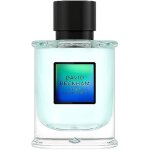 Eau de parfum - david beckham - true instinct - notes boises - flacon lgant - parfum captivant