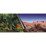 Ebi poster fond daquarium - 60 x 30 cm - imprim jungle / desert