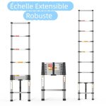 �chelle t�lescopique - dayplus - 26 m - acier inoxydable - pliable - verrouillage � boutons de pouce