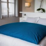 �dredon - castex couettes naturelles - jacquard bleu - 160x170 cm - 90% duvet neuf - antiallergique