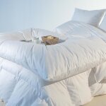 dredon - castex couettes naturelles - blanc - 90x150 cm - 90% duvet neuf - antiallergique