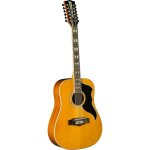 Eko gea rangervr12 - eq - nat - ranger vr xii - dreadnought 12 cordes lectro