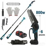 �lagueuse sans fil 2 - en - 1 ? tige t�lescopique 25 m cha�ne 15 cm 800w 2 batteries mini tron�onneuse ...