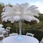 Embellissements plumes dautruches naturelles pannemies de plumes blanches pour centres de table 10pcs ...