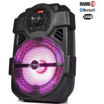 Enceinte portable 8 / 20cm 250w avec usb / bluetooth / fm - party light & sound handy250