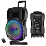 Enceinte sono portable - party sound & light - mod�le 12 - 700w - batterie 11. 1v 2200mah - bluetooth ...