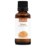 Encens (boswellia carteri) bio - 30ml - huile essentielle de qualit premium - 100% pure naturelle chmotype ...