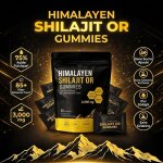 �nergie et endurance 3000mg shilajit + ashwagandha 85 + min�raux & acide fulvique jbrk shilajit gold ...