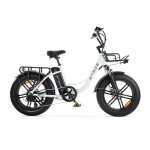 Engwe l20 v�lo �lectrique fatbike ? 20 pouces ? moteur 250w ? 7 vitesses ? autonomie 140 km ? freins ...