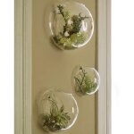 Ensemble de 3 vases muraux en verrejardinires dintrieursupports pour plantes ariennesjardinires murales ...