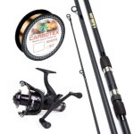 Ensemble canne à carpe x2 - canne carpe + moulinet carpe - fil de pêche Ensemble canne à carpe x2 - canne carpe + moulinet carpe - fil de pêche