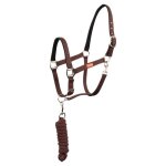 Ensemble licol et longe pour cheval premiere equitation - zinfandel - full
