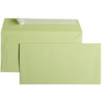 Enveloppes pollen dl 120g vert bourgeon - x20