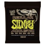 Ernie ball 2146 regular slinky 12 - 54 cordes guitare folk