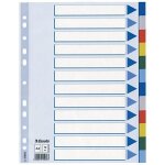 Esselte intercalaire multicolores 12 touches