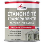 tanchit transparente vranda tuile verre polycarbonate peinture rsine 0. 75 l -