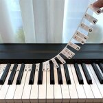 Étiquettes amovibles pour partitions de clavier de piano 88 touches autocollants pour clavier piano réutilisab ... Étiquettes amovibles pour partitions de clavier de piano 88 touches autocollants pour clavier piano réutilisab ...
