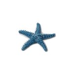 Étoile de mer bleue - décoration - 65 cm - objets décoratifs - intérieur Étoile de mer bleue - décoration - 65 cm - objets décoratifs - intérieur