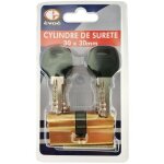 Serrure - evoe - cylindre 60mm  5 cls scurit - nickel - 2 entres - 5 goupilles