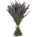 Fablcrew lavande s�ch�e bouquets de fleurs de lavande naturelles100 + tiges (40cm) pour la d�coration ...