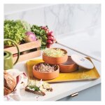 A faire pousser - nature & d�couvertes : germoir � graines en terre cuite