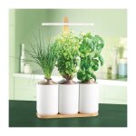 A faire pousser - pr�t � pousser : lilo connect potager int�rieur connect�