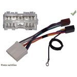 Faisceau autoradio mitsubishi 1998 et + et + is?
