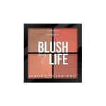 Fashion make up - palette fard � joues blush my life n�03 rich